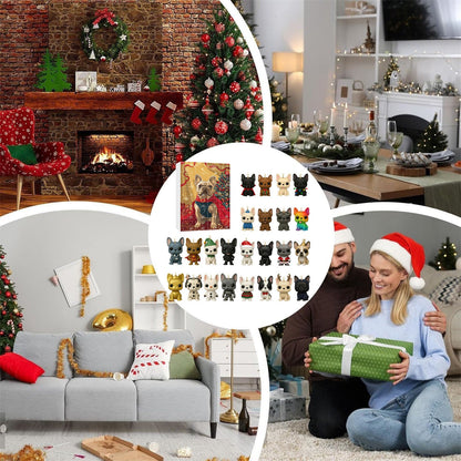 Pet dog arrives in the holiday calendar box